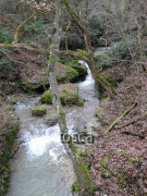 Dürrenbach