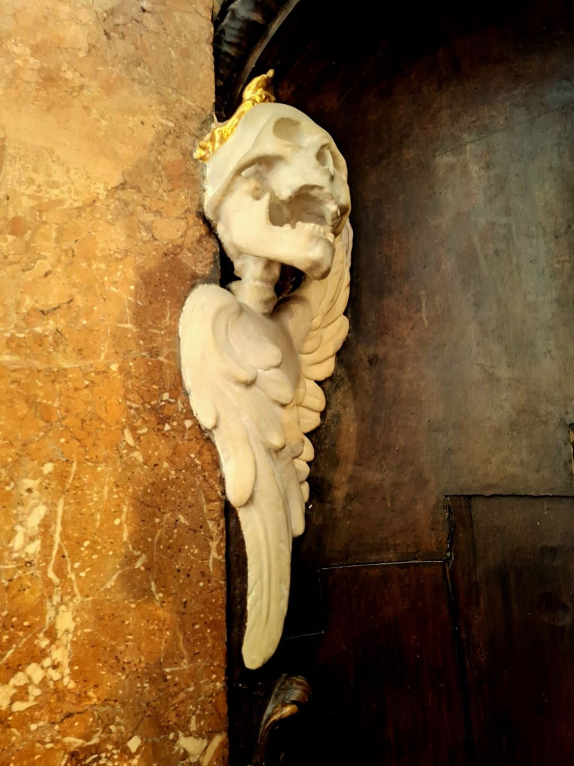 040_Detail Beichtstuhl mit Leichnam Cenodoxux ermahnt den hl, Bruno von Köln_Asamkirche