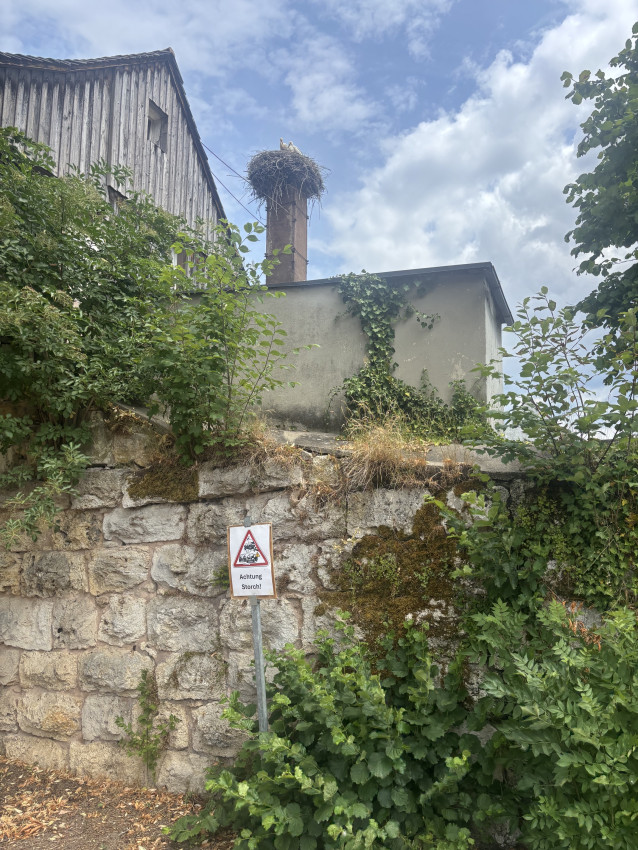 Oettingen
