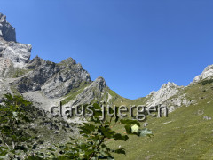 Torscharte
