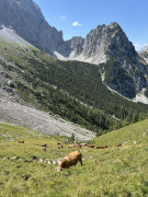 Torscharte