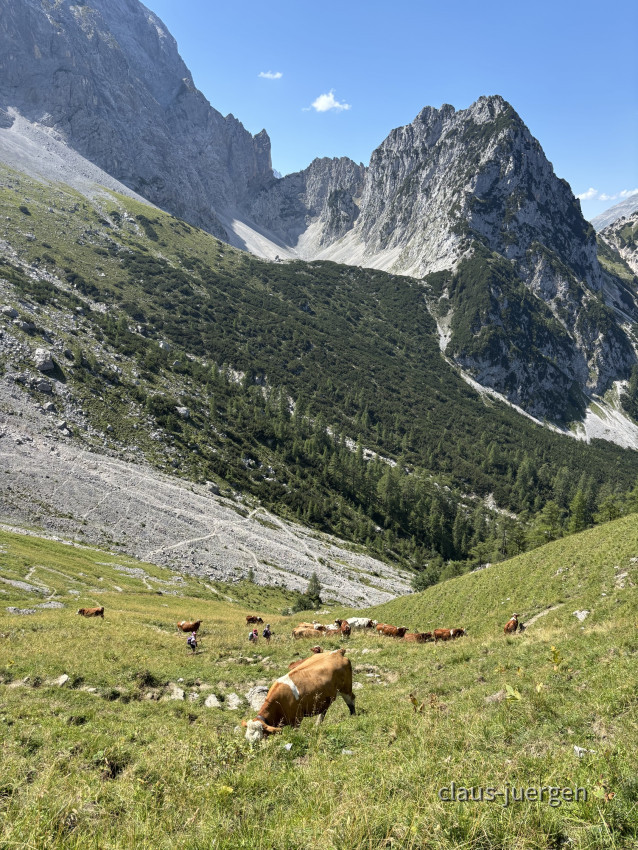 Torscharte