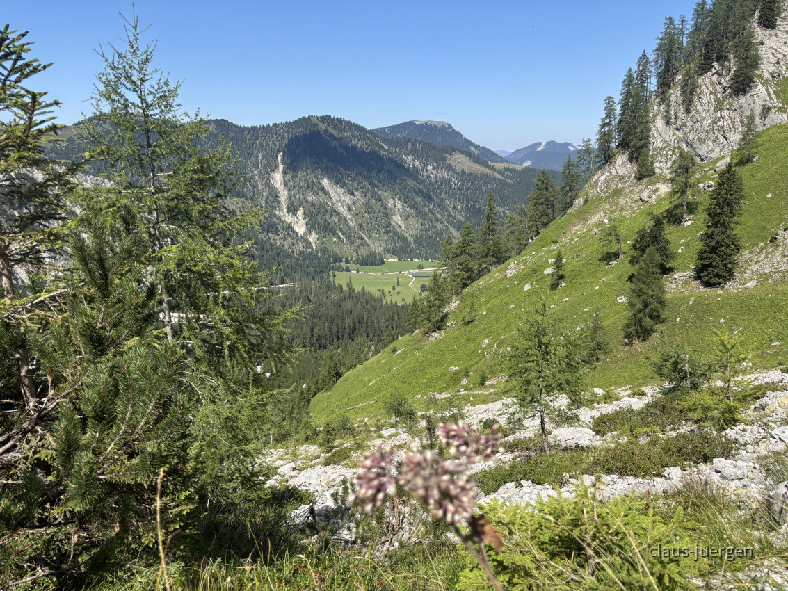 Torscharte