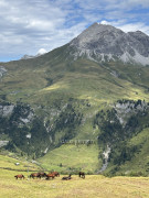 Zürs