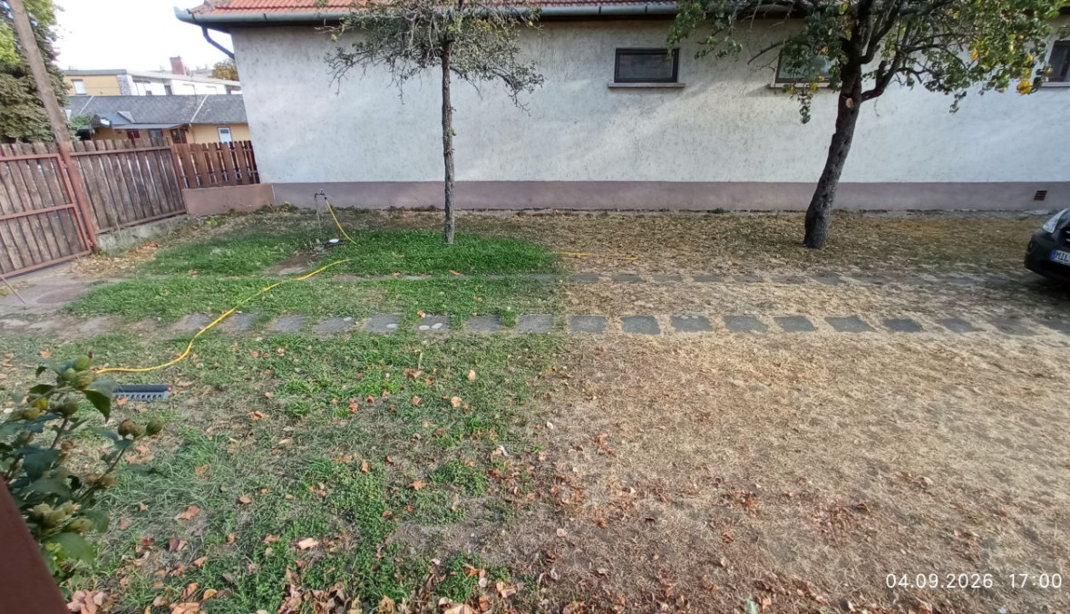 Garten2.jpg