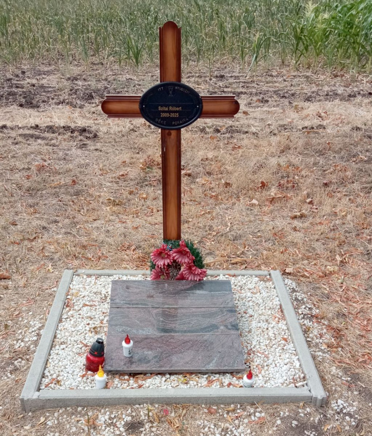 Maisfeld10.jpg