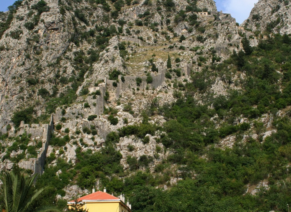 Kotor