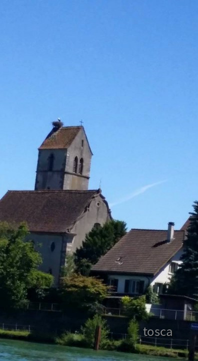 Am Hochrhein unterwegs mit dem Boot 