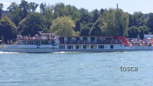 Ausflugsschiff Lällekönig auf dem Rhein