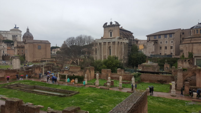 Forum_Romanum (14)