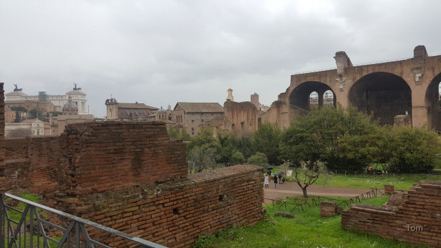 Forum_Romanum (4)