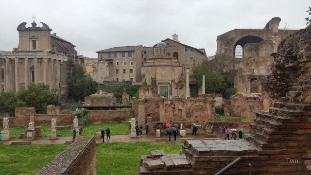 Forum_Romanum (13)