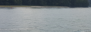 An der schönen blauen Donau