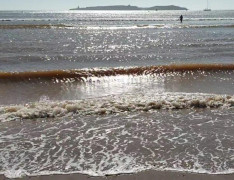 Am Strand von Essaouira