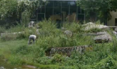 Besuch im Augsburger Zoo